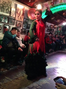 Flamenco 003