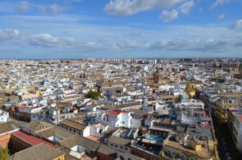 Seville 248